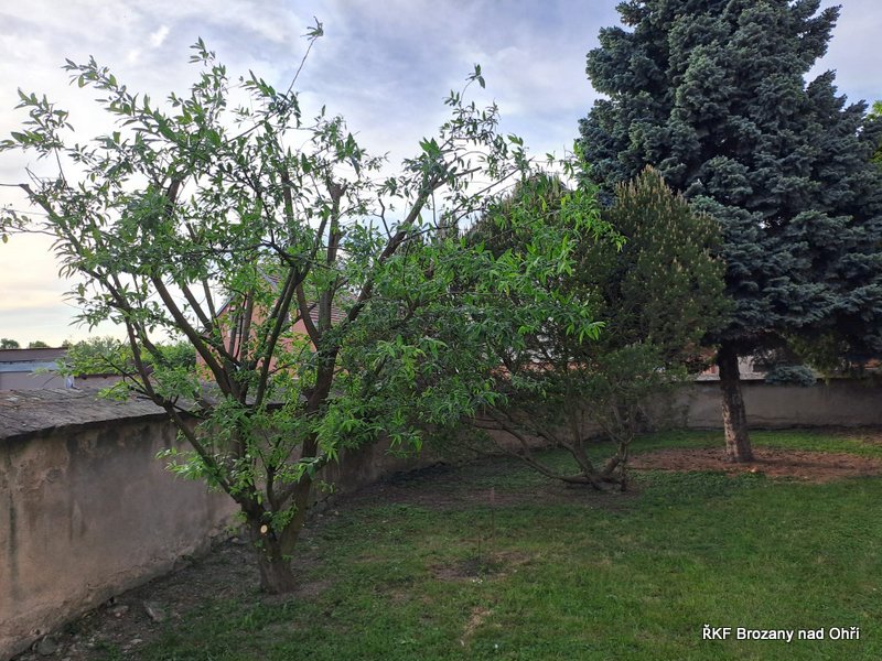 IMG-20250525-WA0002