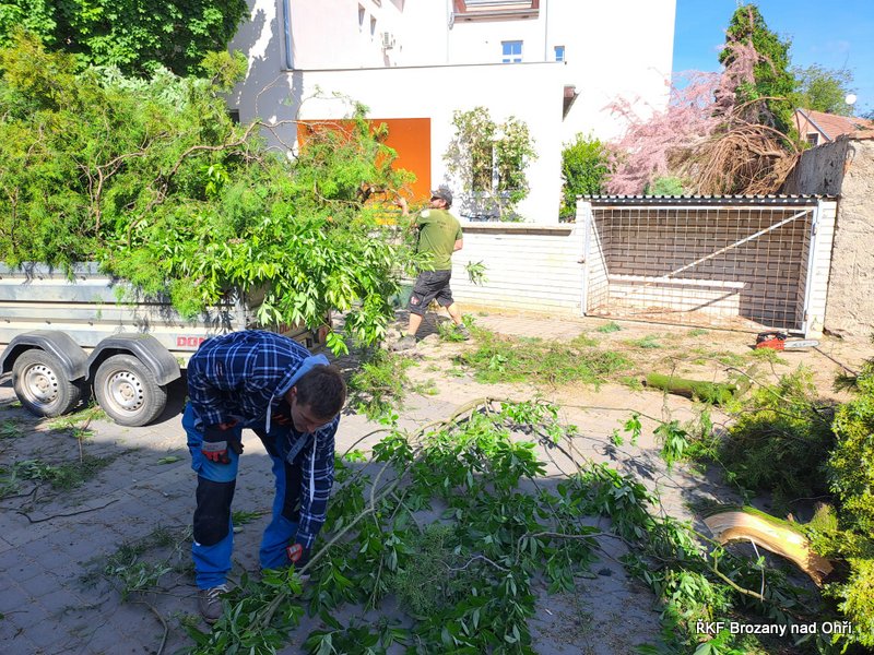 IMG-20250525-WA0005