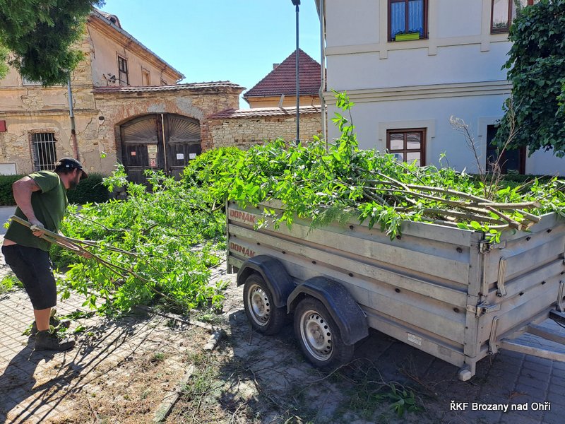 IMG-20250525-WA0007