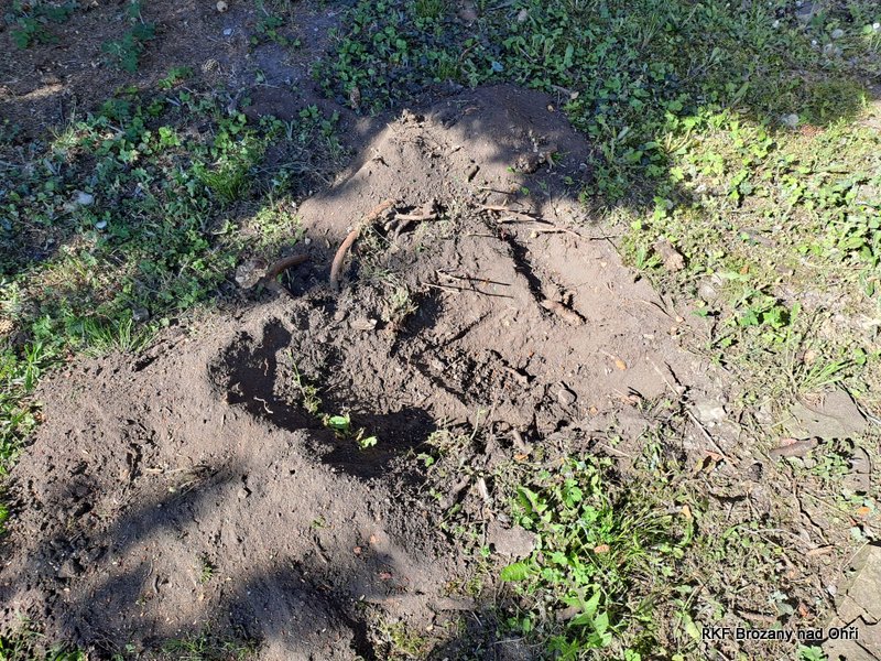 IMG-20250525-WA0014