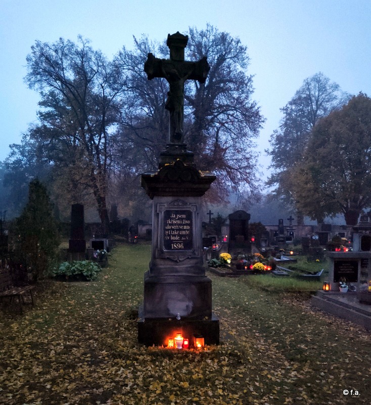 Obrázek WhatsApp, 2025-11-02 v 20.09.35_138d786a